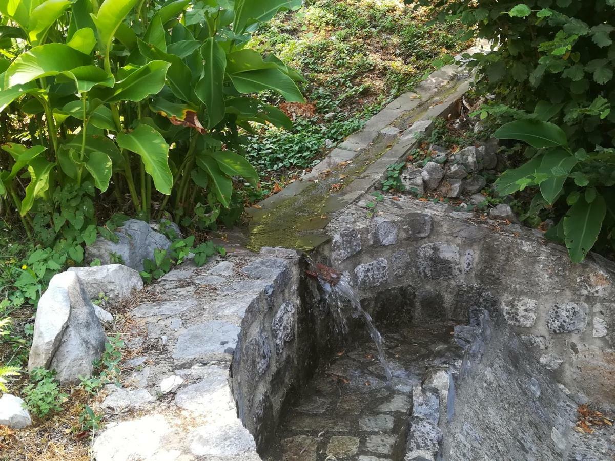 Poderia I Suoni Di Valle Martina المظهر الخارجي الصورة
